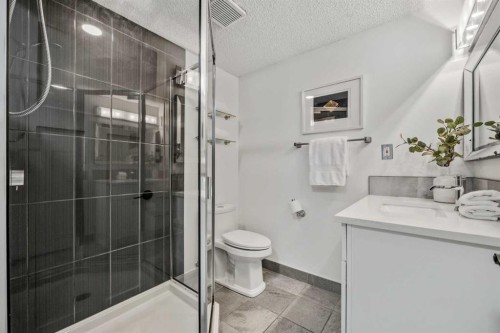 235 Lake Rosen Crescent Se, Calgary, AB - Indoor Photo Showing Bathroom