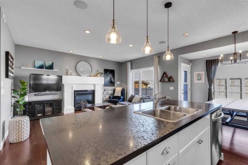 317 Panora Way Nw, Calgary, AB - Indoor Photo Showing Kitchen With Fireplace With Double Sink
