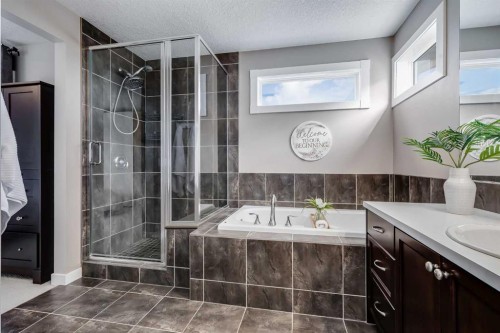 317 Panora Way Nw, Calgary, AB - Indoor Photo Showing Bathroom