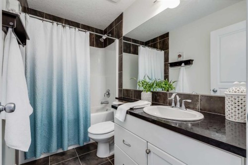 317 Panora Way Nw, Calgary, AB - Indoor Photo Showing Bathroom