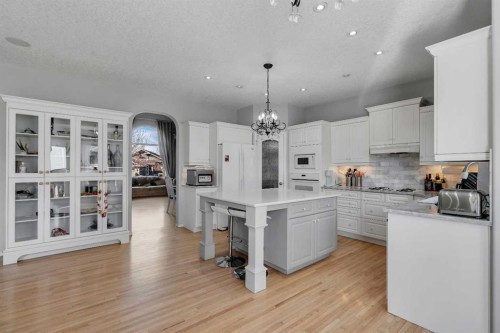 37 Mt Yamnuska Place Se, Calgary, AB - Indoor Photo Showing Kitchen With Upgraded Kitchen