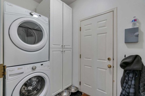 37 Mt Yamnuska Place Se, Calgary, AB - Indoor Photo Showing Laundry Room