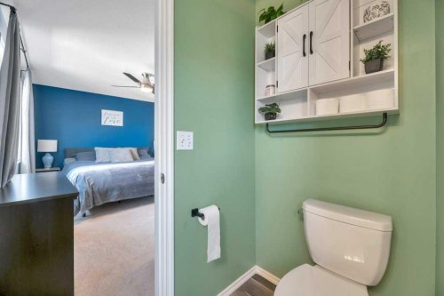 191 Strathaven Crescent, Strathmore, AB - Indoor Photo Showing Bathroom