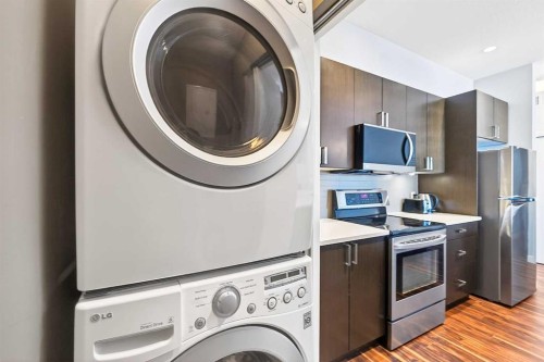 301-16 Auburn Bay Link Se, Calgary, AB - Indoor Photo Showing Laundry Room