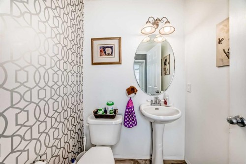 112 Country Village Cape Ne, Calgary, AB - Indoor Photo Showing Bathroom
