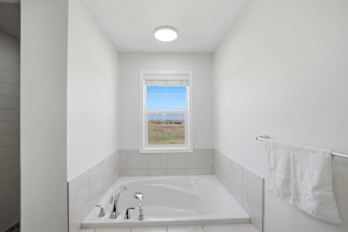 193 Cityscape Gardens Ne, Calgary, AB - Indoor Photo Showing Bathroom