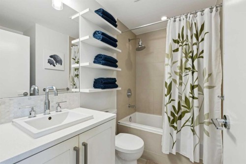402-46 9 Street Ne, Calgary, AB - Indoor Photo Showing Bathroom