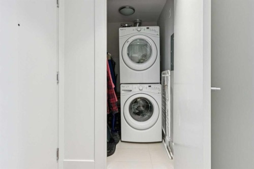 402-46 9 Street Ne, Calgary, AB - Indoor Photo Showing Laundry Room