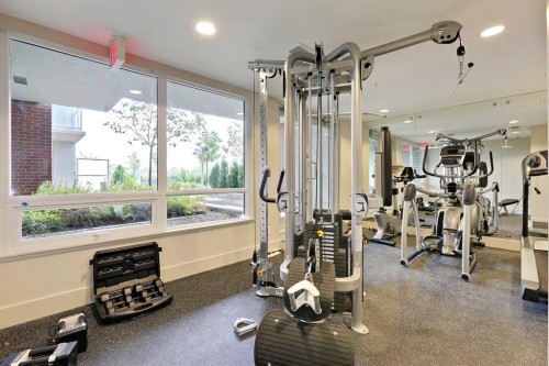402-46 9 Street Ne, Calgary, AB - Indoor Photo Showing Gym Room