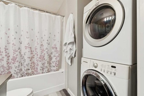 1127 Mckenzie Towne Row Se, Calgary, AB - Indoor Photo Showing Laundry Room