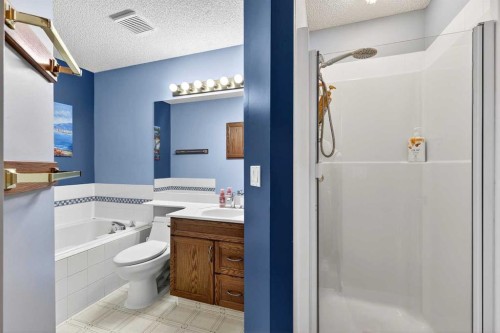 129 Bridlewood Way Sw, Calgary, AB - Indoor Photo Showing Bathroom