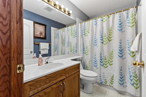 129 Bridlewood Way Sw, Calgary, AB - Indoor Photo Showing Bathroom