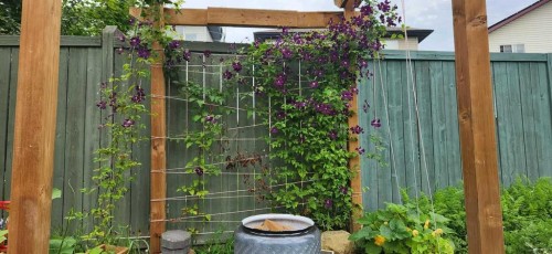 129 Bridlewood Way Sw, Calgary, AB - Outdoor