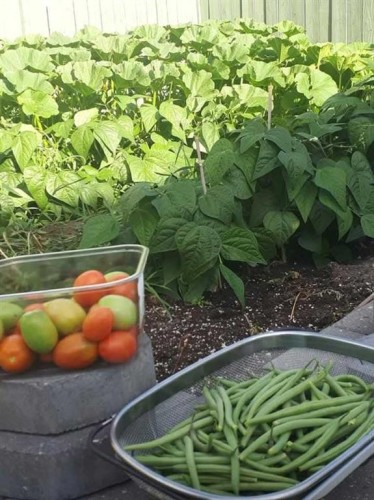 129 Bridlewood Way Sw, Calgary, AB - Outdoor