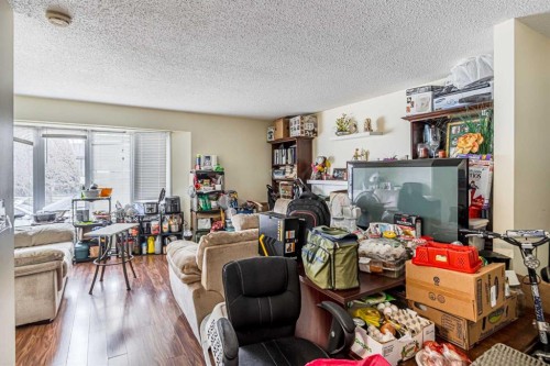 121 Margate Close Ne, Calgary, AB - Indoor Photo Showing Living Room
