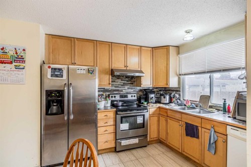 121 Margate Close Ne, Calgary, AB - Indoor Photo Showing Kitchen With Double Sink