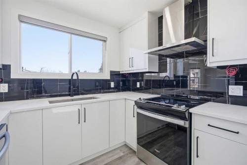 248 Castledale Way Ne, Calgary, AB - Indoor Photo Showing Kitchen