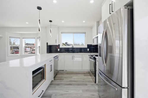 248 Castledale Way Ne, Calgary, AB - Indoor Photo Showing Kitchen With Stainless Steel Kitchen With Upgraded Kitchen