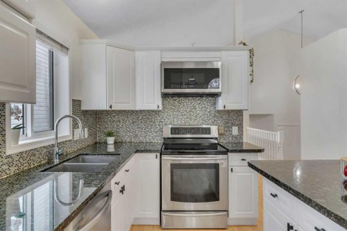 44 Douglas Glen Crescent Se, Calgary, AB - Indoor Photo Showing Kitchen With Double Sink With Upgraded Kitchen
