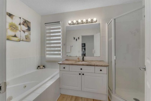 44 Douglas Glen Crescent Se, Calgary, AB - Indoor Photo Showing Bathroom