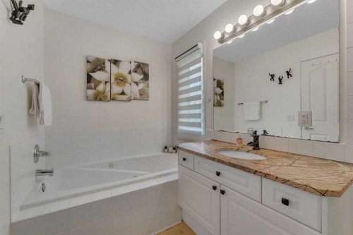 44 Douglas Glen Crescent Se, Calgary, AB - Indoor Photo Showing Bathroom