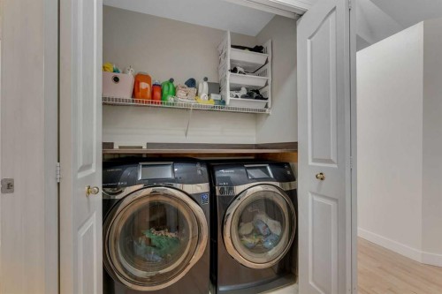 44 Douglas Glen Crescent Se, Calgary, AB - Indoor Photo Showing Laundry Room