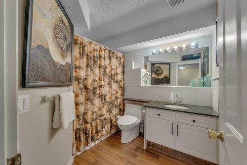 44 Douglas Glen Crescent Se, Calgary, AB - Indoor Photo Showing Bathroom