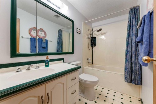 222075 Range Road 264, Rural Wheatland County, AB - Indoor Photo Showing Bathroom