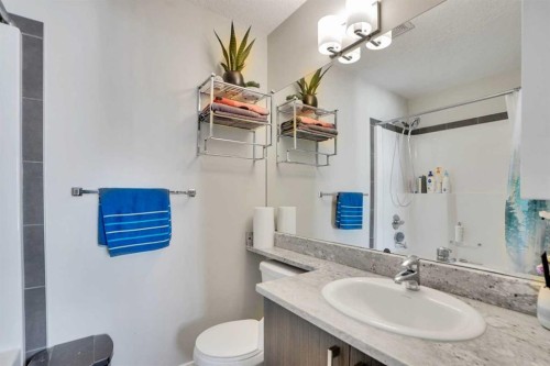 1107-333 Taralake Way Ne, Calgary, AB - Indoor Photo Showing Bathroom