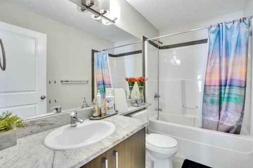 1107-333 Taralake Way Ne, Calgary, AB - Indoor Photo Showing Bathroom