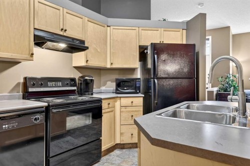 140 Promenade Way Se, Calgary, AB - Indoor Photo Showing Kitchen With Double Sink
