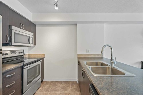 410-121 Copperpond Common Se, Calgary, AB - Indoor Photo Showing Kitchen With Double Sink