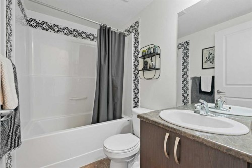 410-121 Copperpond Common Se, Calgary, AB - Indoor Photo Showing Bathroom