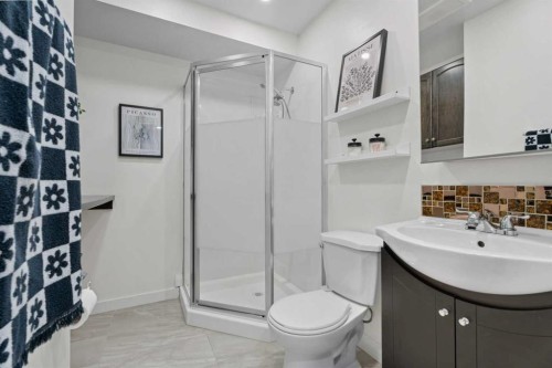 410-121 Copperpond Common Se, Calgary, AB - Indoor Photo Showing Bathroom