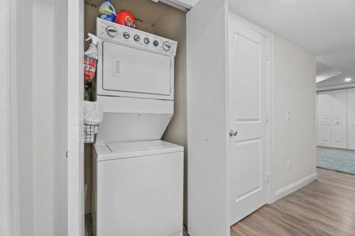410-121 Copperpond Common Se, Calgary, AB - Indoor Photo Showing Laundry Room