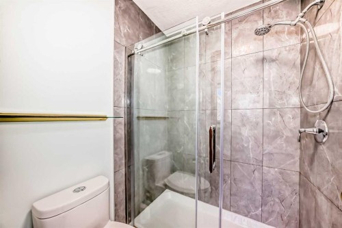 164 Macewan Park Circle Nw, Calgary, AB - Indoor Photo Showing Bathroom