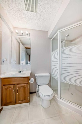 164 Macewan Park Circle Nw, Calgary, AB - Indoor Photo Showing Bathroom