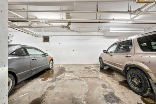 207-414 Meredith Road Ne, Calgary, AB - Indoor Photo Showing Garage