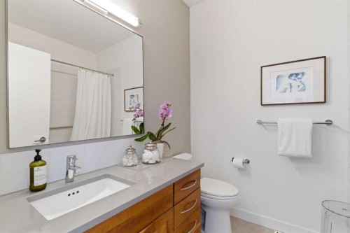 10 Erlton Terrace Sw, Calgary, AB - Indoor Photo Showing Bathroom