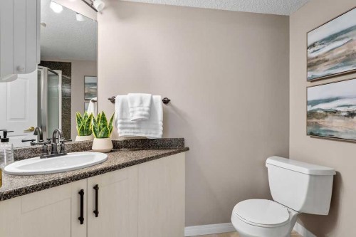 1311-1311 Hawksbrow Point Nw, Calgary, AB - Indoor Photo Showing Bathroom