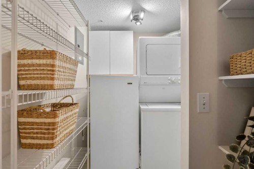 1311-1311 Hawksbrow Point Nw, Calgary, AB - Indoor Photo Showing Laundry Room