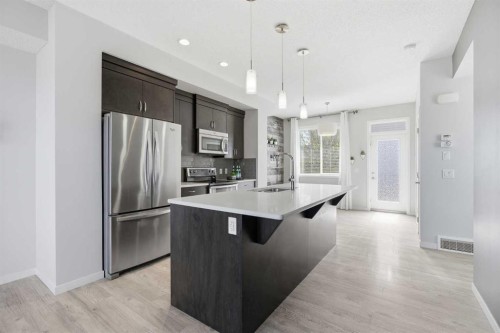 101 New Brighton Walk Se, Calgary, AB - Indoor Photo Showing Kitchen With Stainless Steel Kitchen With Upgraded Kitchen