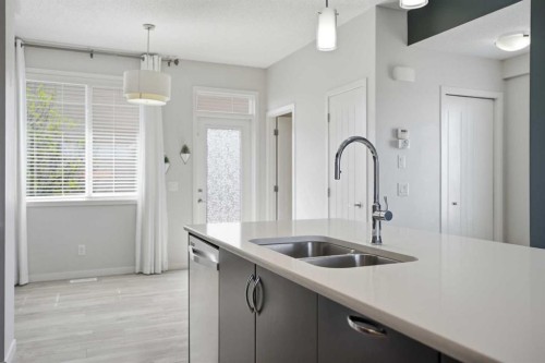 101 New Brighton Walk Se, Calgary, AB - Indoor Photo Showing Kitchen With Double Sink With Upgraded Kitchen