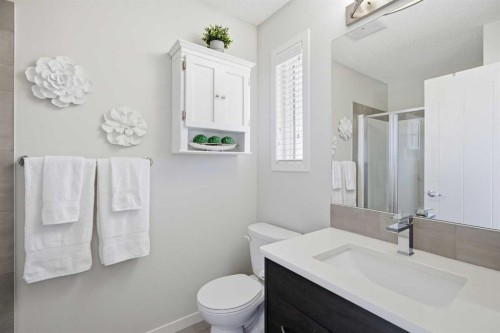 101 New Brighton Walk Se, Calgary, AB - Indoor Photo Showing Bathroom