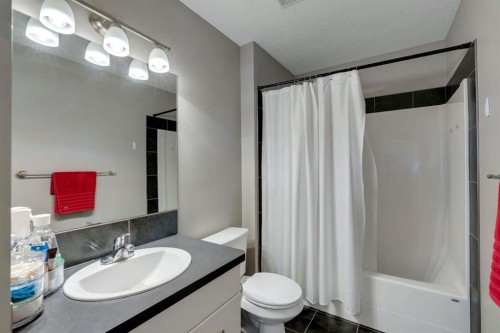 52 West Coach Court Sw, Calgary, AB - Indoor Photo Showing Bathroom