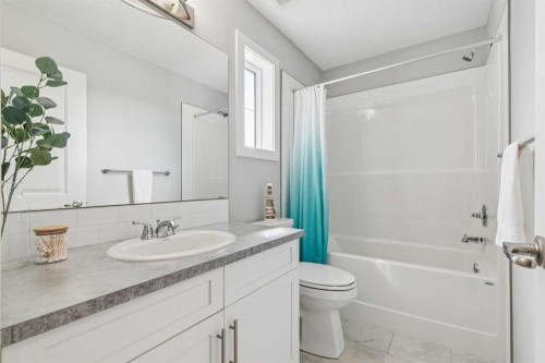 99 Heritage Heights, Cochrane, AB - Indoor Photo Showing Bathroom
