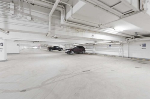 1507-8710 Horton Road Sw, Calgary, AB - Indoor Photo Showing Garage