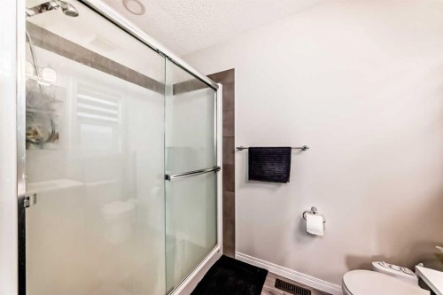 217 Masters Road Se, Calgary, AB - Indoor Photo Showing Bathroom