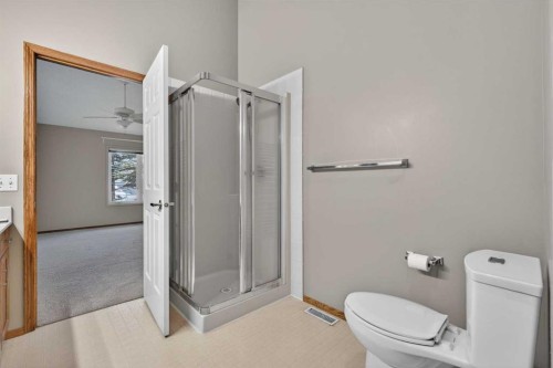 35 Douglasview Park Se, Calgary, AB - Indoor Photo Showing Bathroom