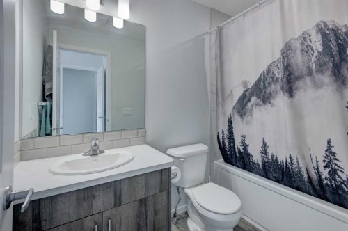 51 Cityscape Row Ne, Calgary, AB - Indoor Photo Showing Bathroom
